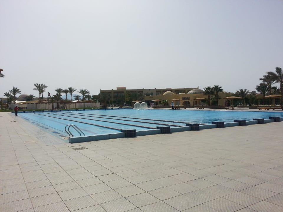 Großes Schwimmerbecken Desert Rose