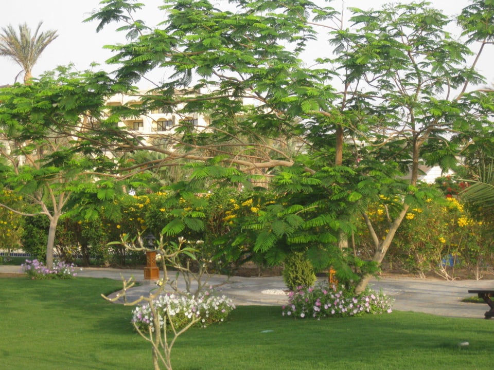 Территория Steigenberger ALDAU Beach Hotel