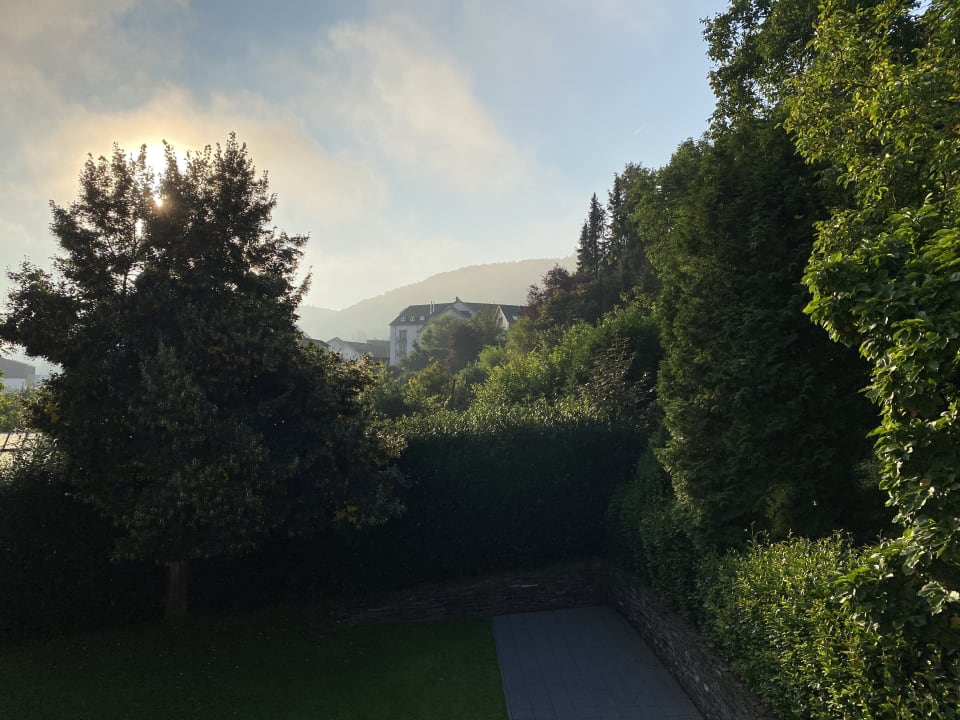 Ausblick Parkhotel Cochem