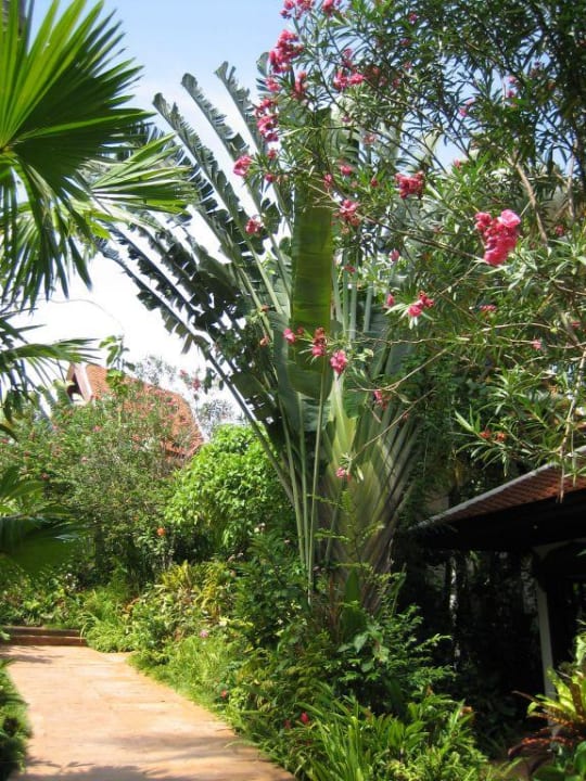 Gartenanlage Marina Phuket Marina Phuket Resort