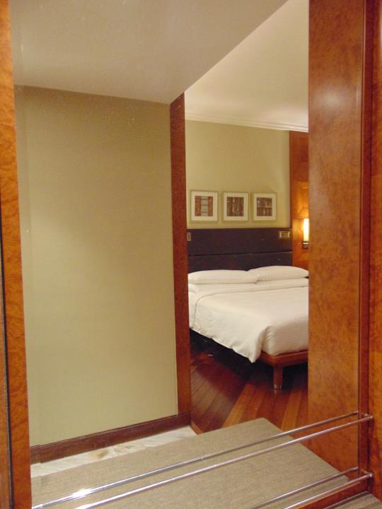 Zimmer Hotel Hyatt Regency Delhi