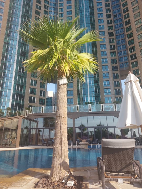 Pool Sofitel Abu Dhabi Corniche