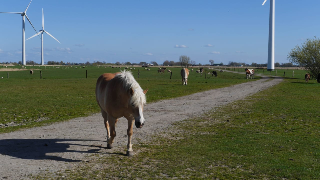 Koppel Ferienhof Haack