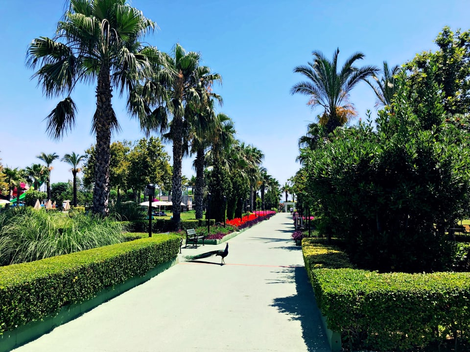Weg durch den Garten  Trendy Aspendos Beach Hotel