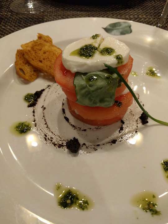 Gastro Acanthus Cennet Barut Collection