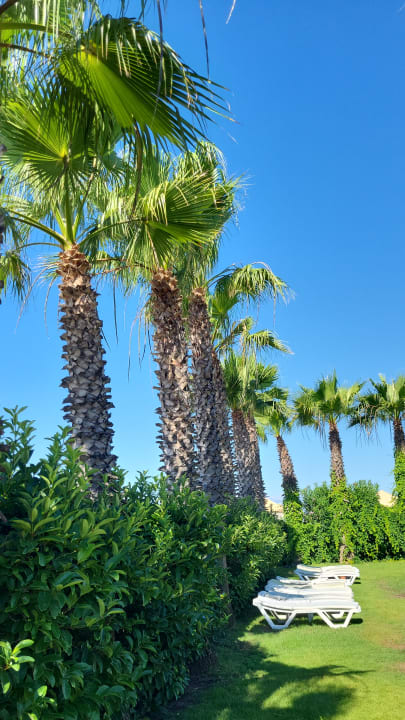 Gartenanlage Saturn Palace Resort Hotel