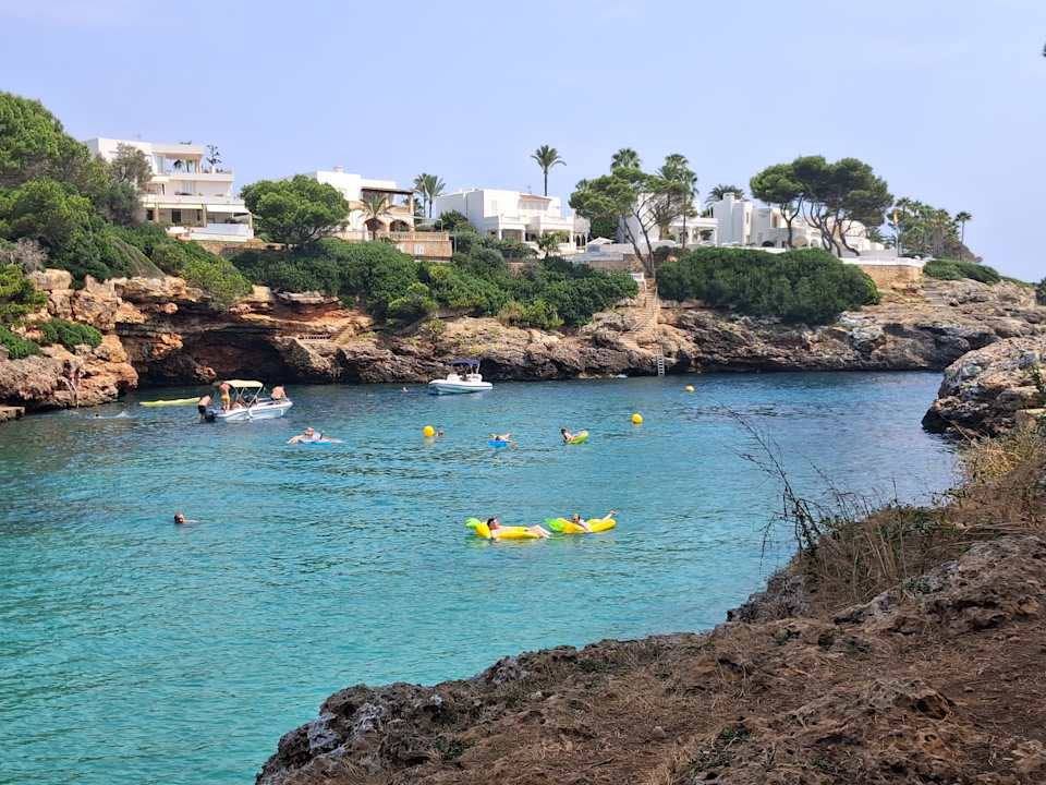 Strand Calimera Fido Gardens