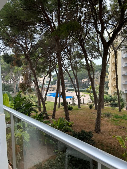 Ausblick Hotel Riu Festival