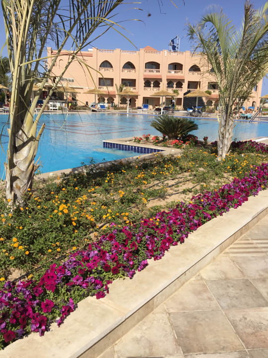 Pool Pickalbatros Aqua Park Resort - Hurghada