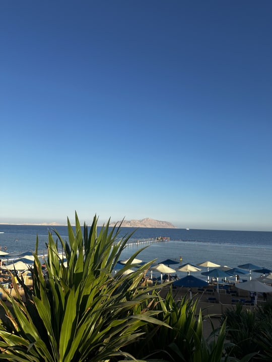 Strand Pickalbatros Palace Resort