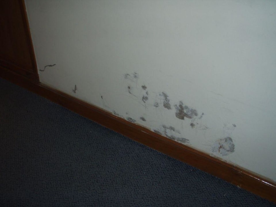 Flur wurde ständig saniert! Ghazala Beach