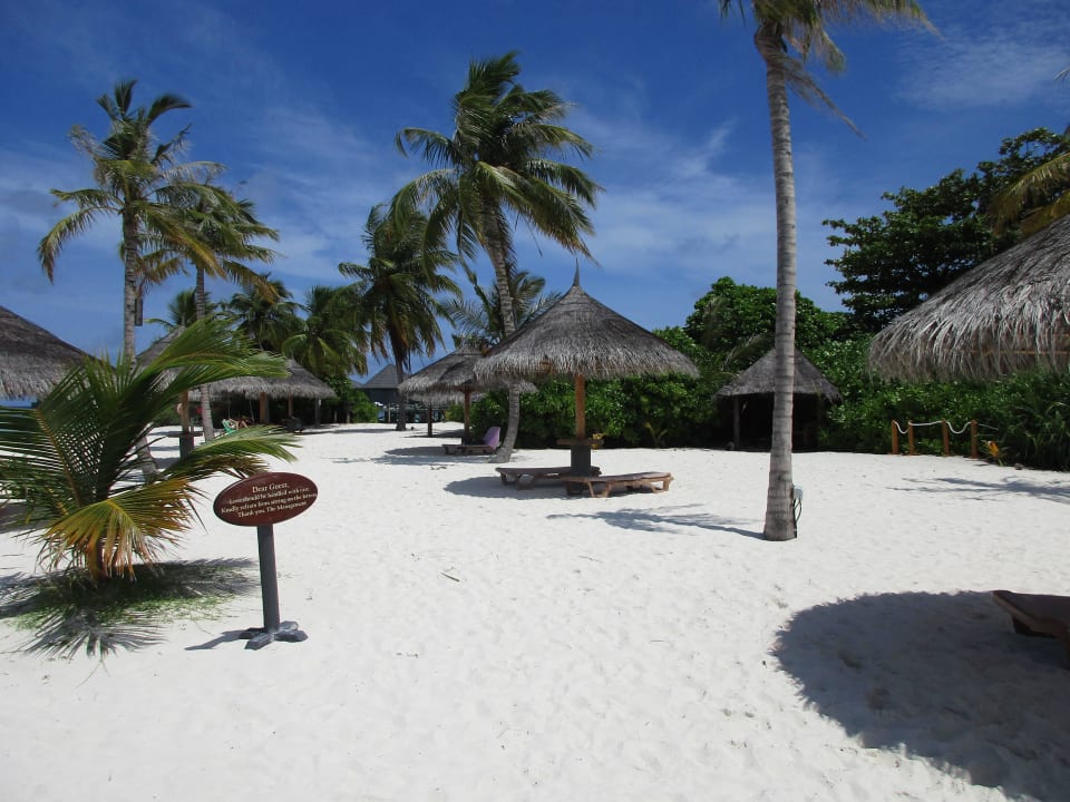 Liegen an der Sandbank Kuredu Island Resort & Spa