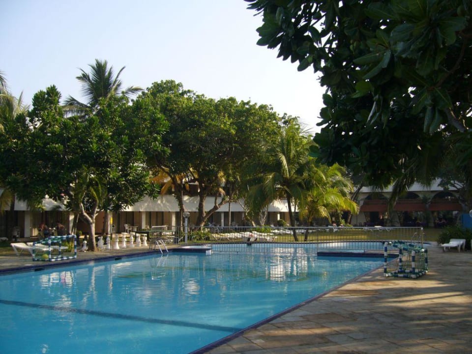 Pool Hotel Club Palm Garden