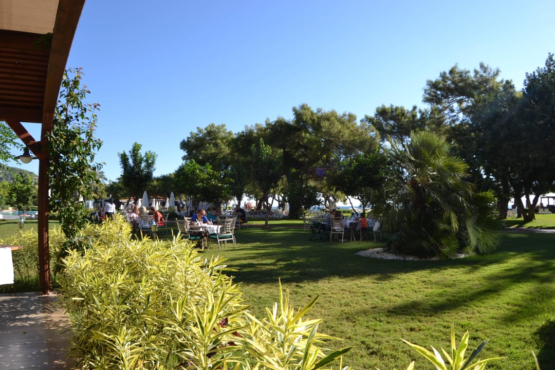 Gartenanlage TUI MAGIC LIFE Beldibi +16