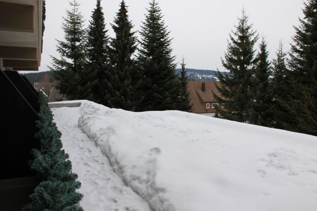 Balkon Hotel Schwarzwälder Hof