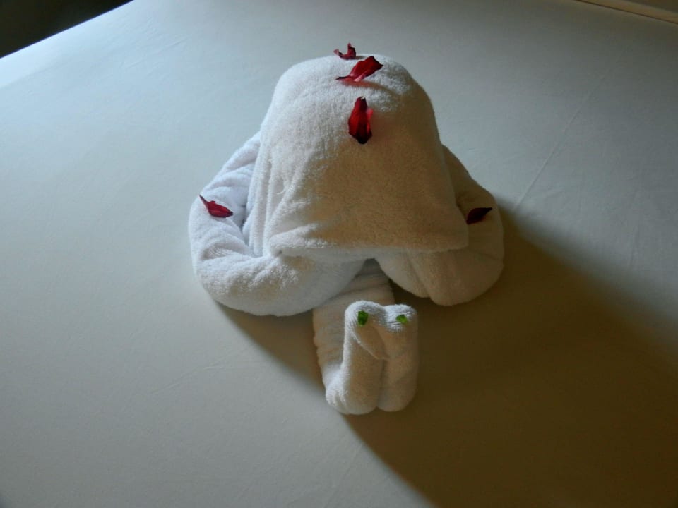 Turtle Steigenberger Coraya Beach - Adults only