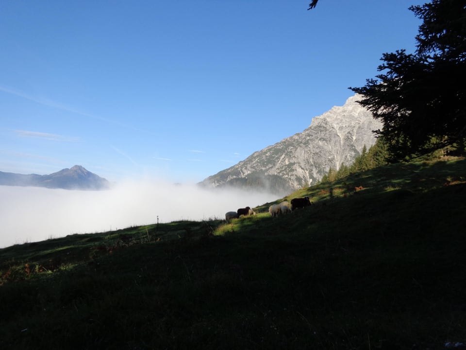 Herbstwanderung Privatpension Haus Helga