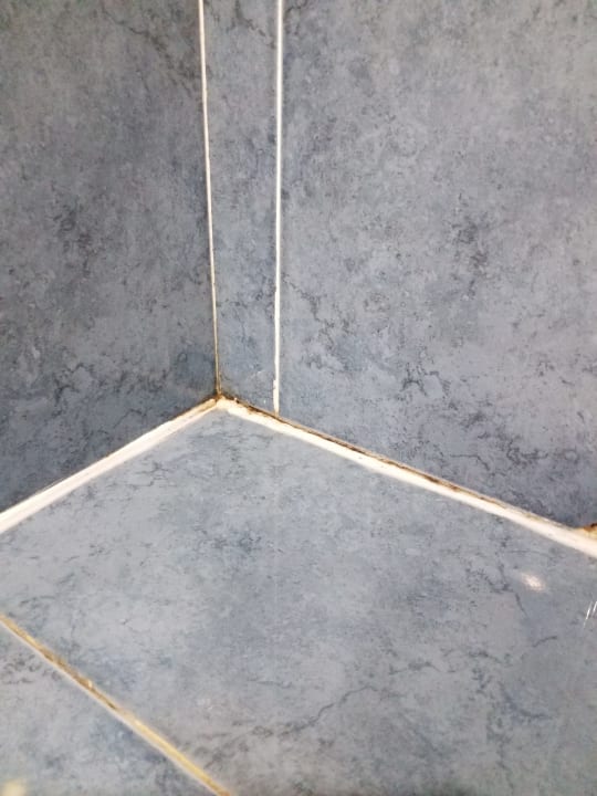 Zimmer Alba Sunny Beach