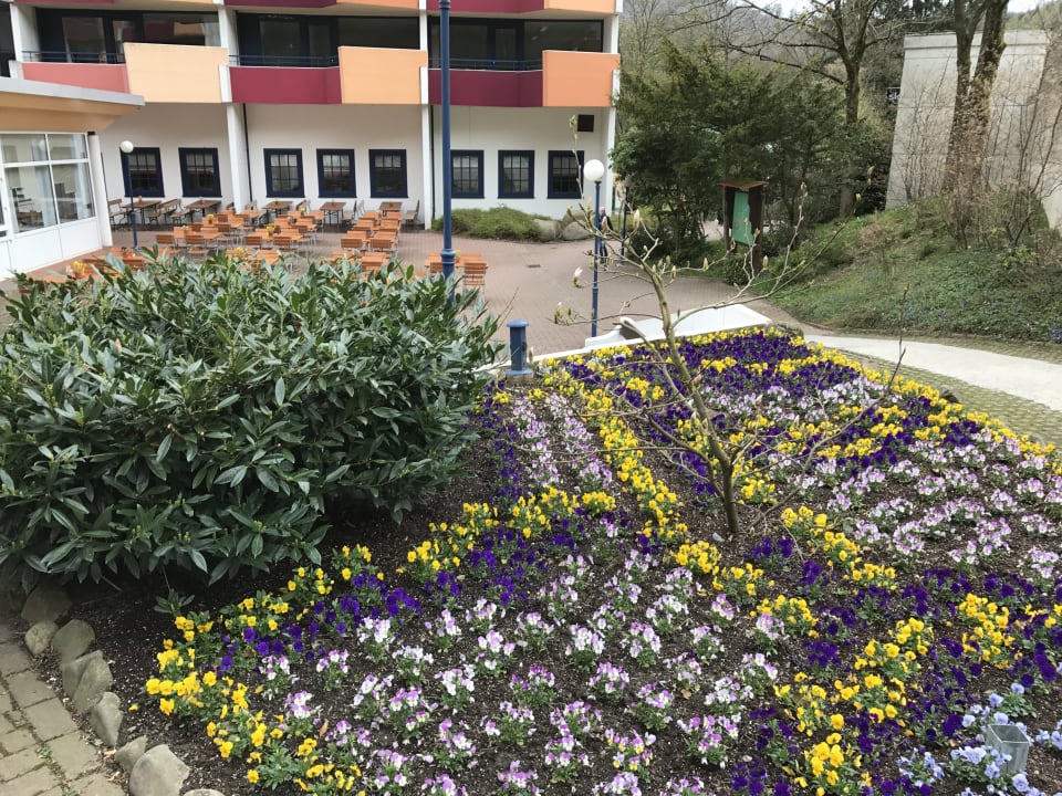 Gartenanlage Panoramic - Ihr Apartmenthotel im Harz
