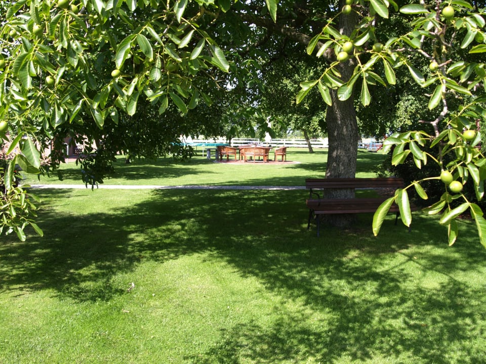 Ein Platz zum Verweilen, einfach mal abschalten! Ferienhäuser Bauernhof Haltermann Landurlaub mit Stil