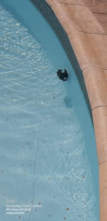 Pool El Karma Aqua Beach Resort