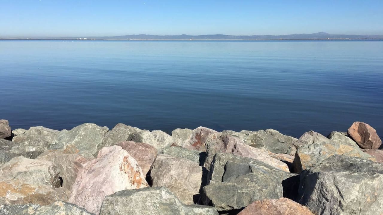 Der Blick auf die Bucht mit Landebahn Hotel Marriott San Francisco Airport Waterfront