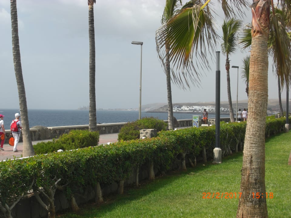 Gartenanlage Hotel Riu Gran Canaria
