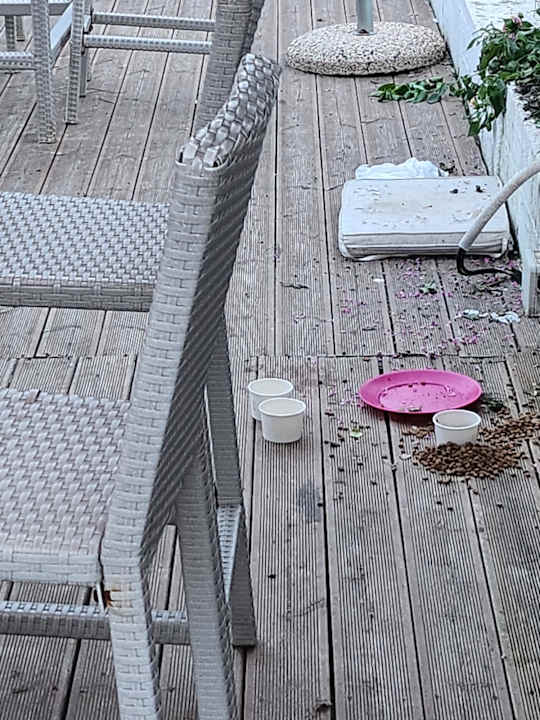 Strand Cavomarina Beach- Adults Only