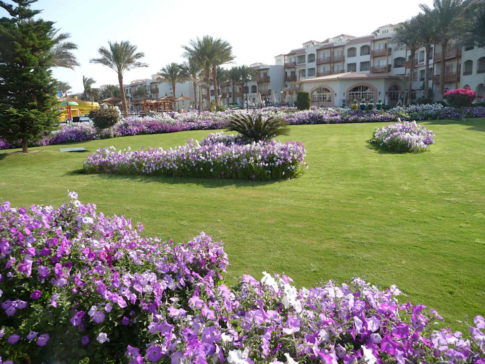 Die Anlage duftet im Frühling Pickalbatros Dana Beach Resort - Hurghada