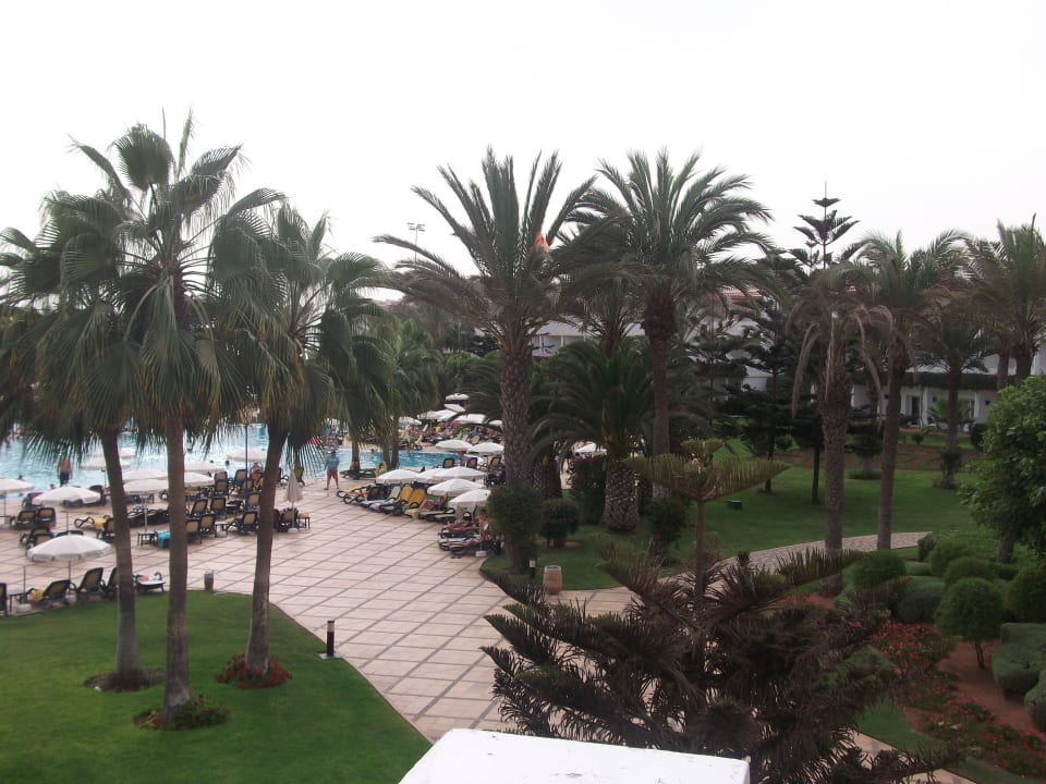 Überblick zum Pool Iberostar Waves Founty Beach