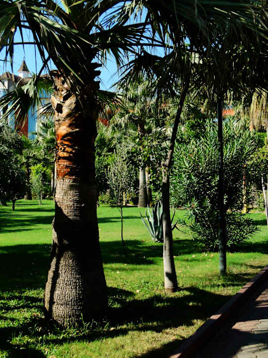 Ogród Saphir Hotel & Villas