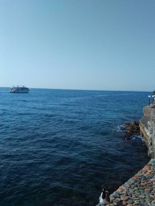 Restaurantausblick Arabella Azur Resort