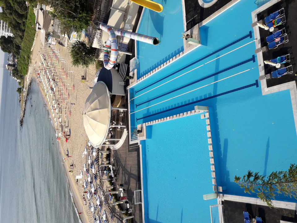 Pool Azalia Hotel Balneo & Spa