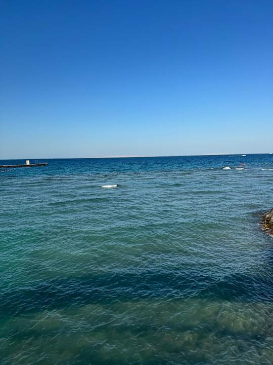 Ausblick Desert Rose