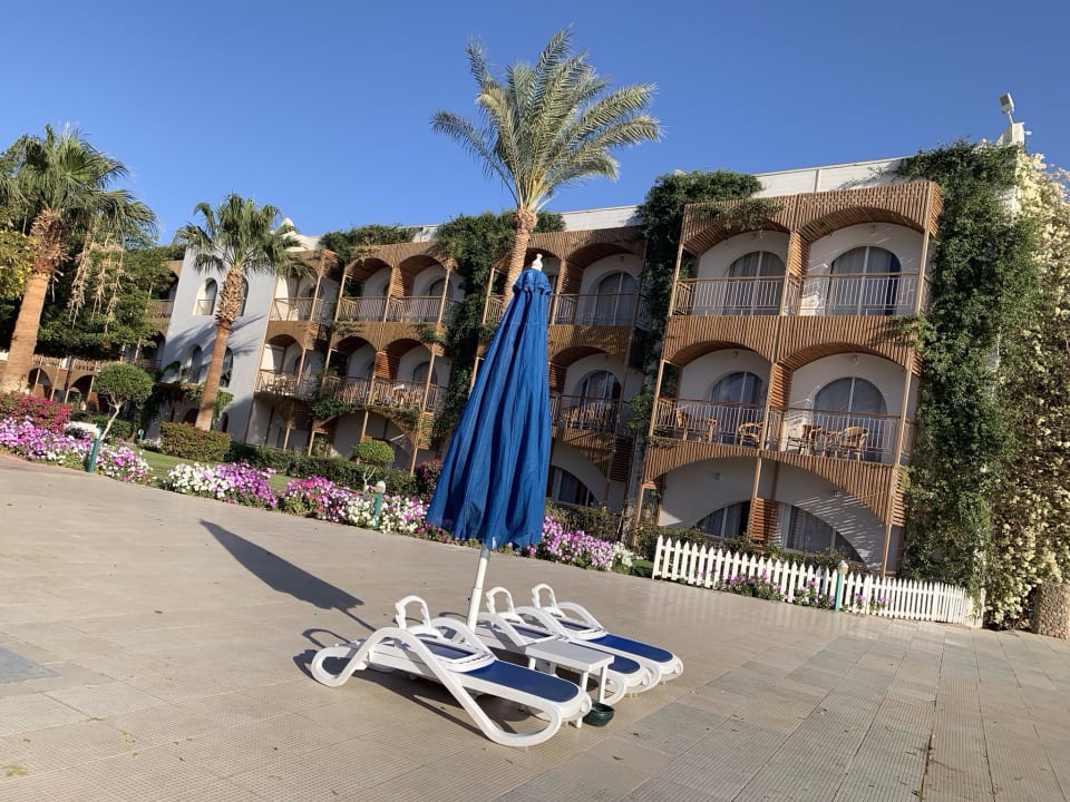 Außenansicht Desert Rose