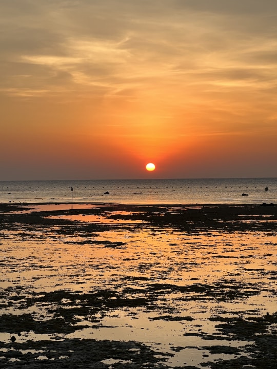 Ausblick Makadi Spa - Adults only