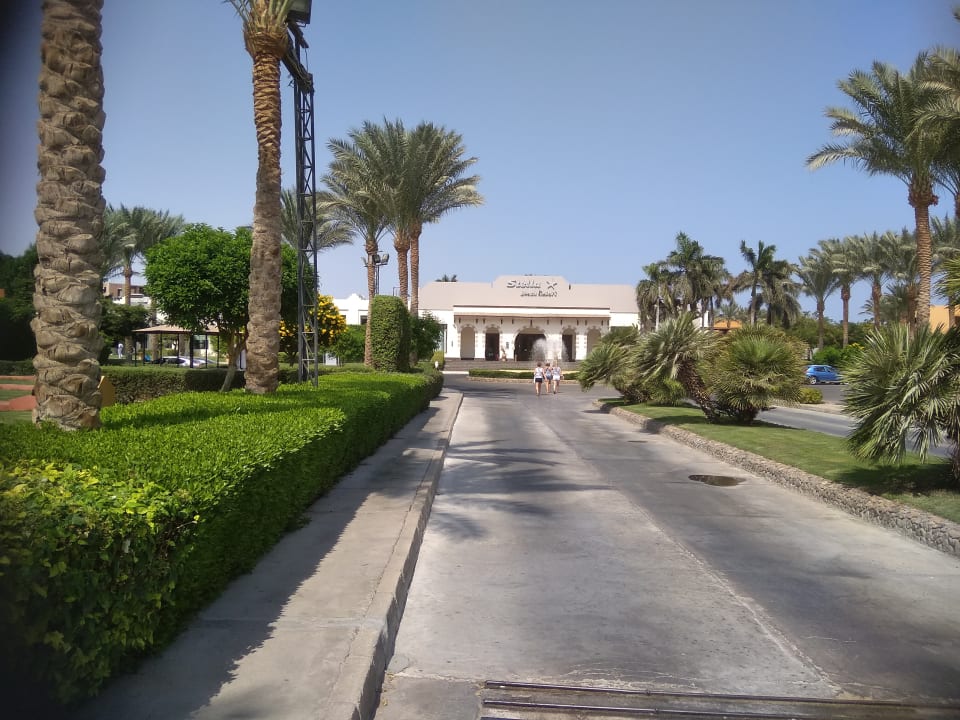 Lobby Stella Beach Resort & Spa Makadi Bay