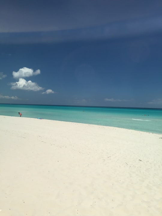 Strand Starfish Cuatro Palmas