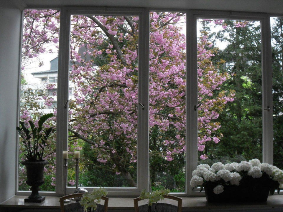 Blick aus dem Speisesaal  Westpark Hotel