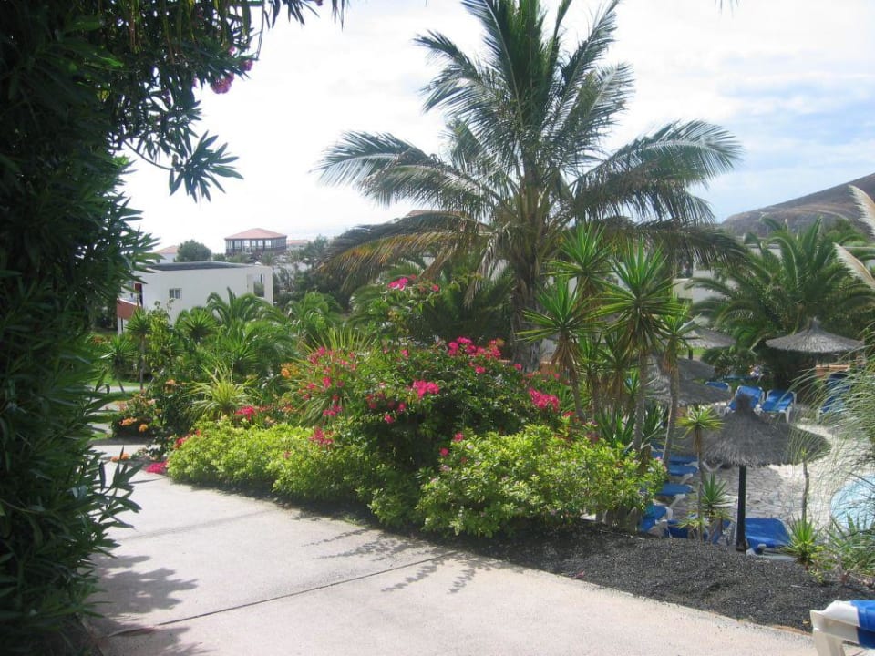 Garten allsun App.-Hotel Esquinzo Beach