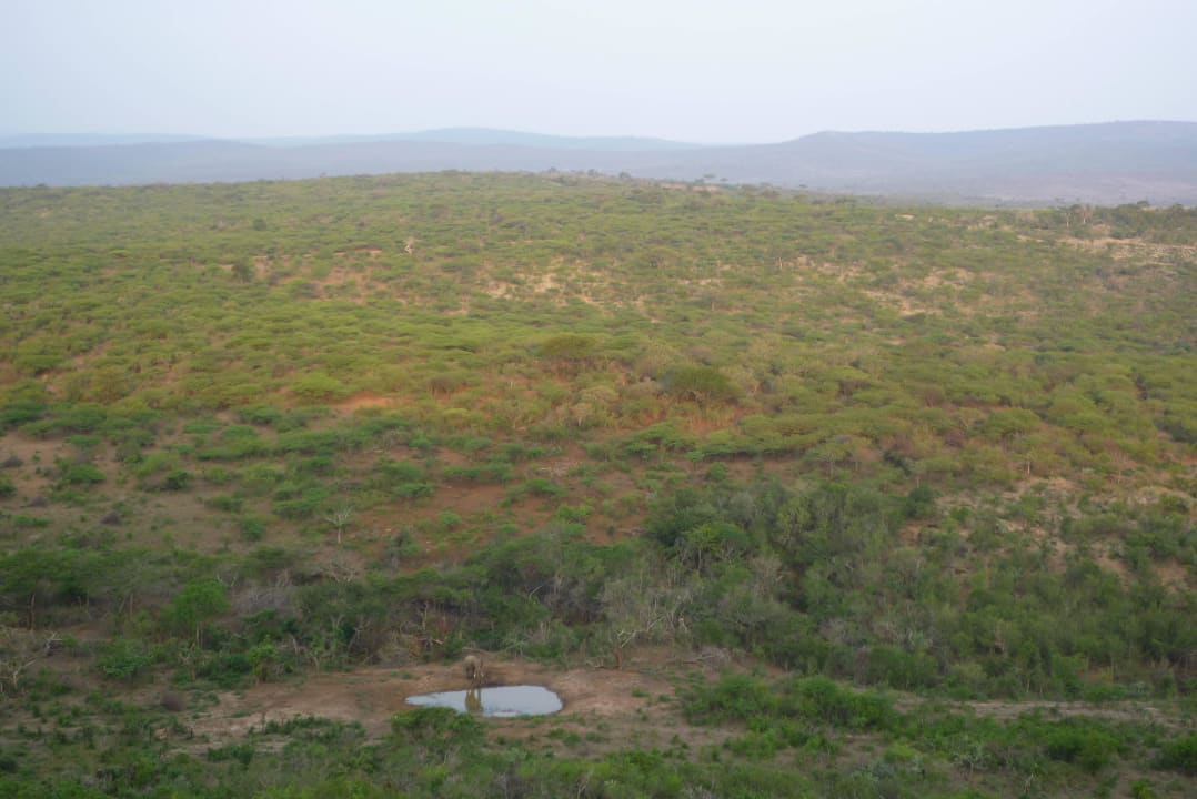 Blick auf das Wasserloch  Rhino Ridge Safari Lodge