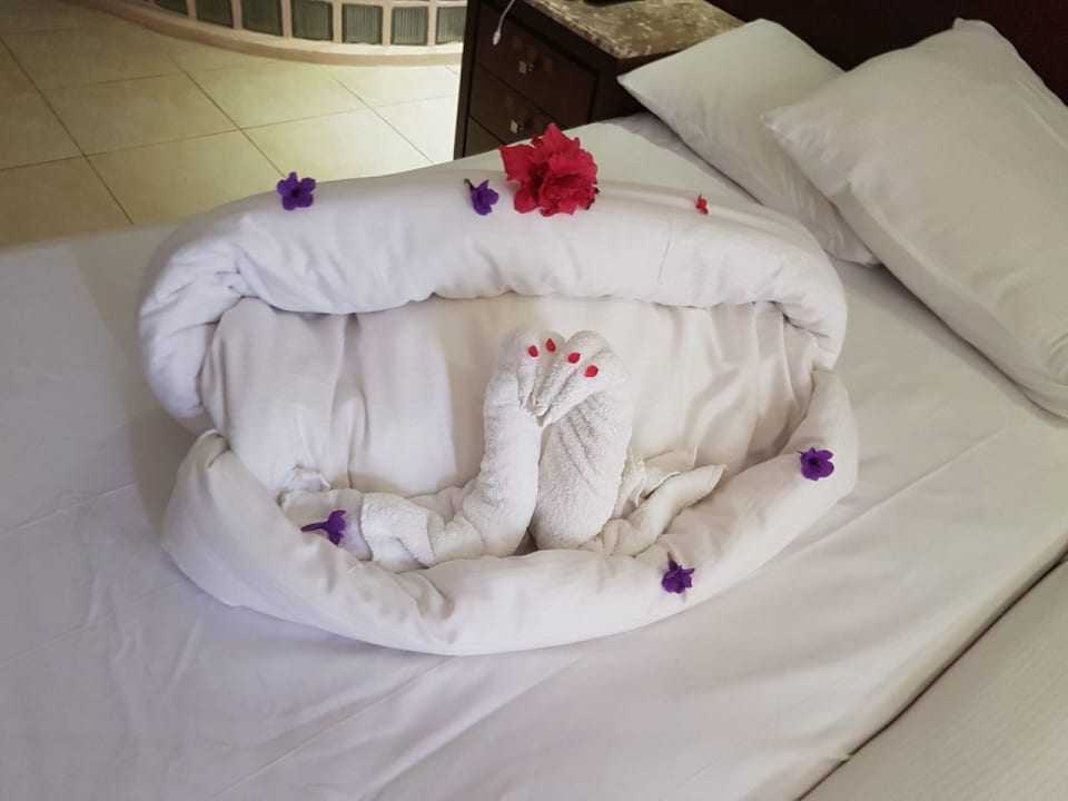 Kleine Schönheiten vom Zimmerboy  Shams Prestige Abu Soma-Adults Only