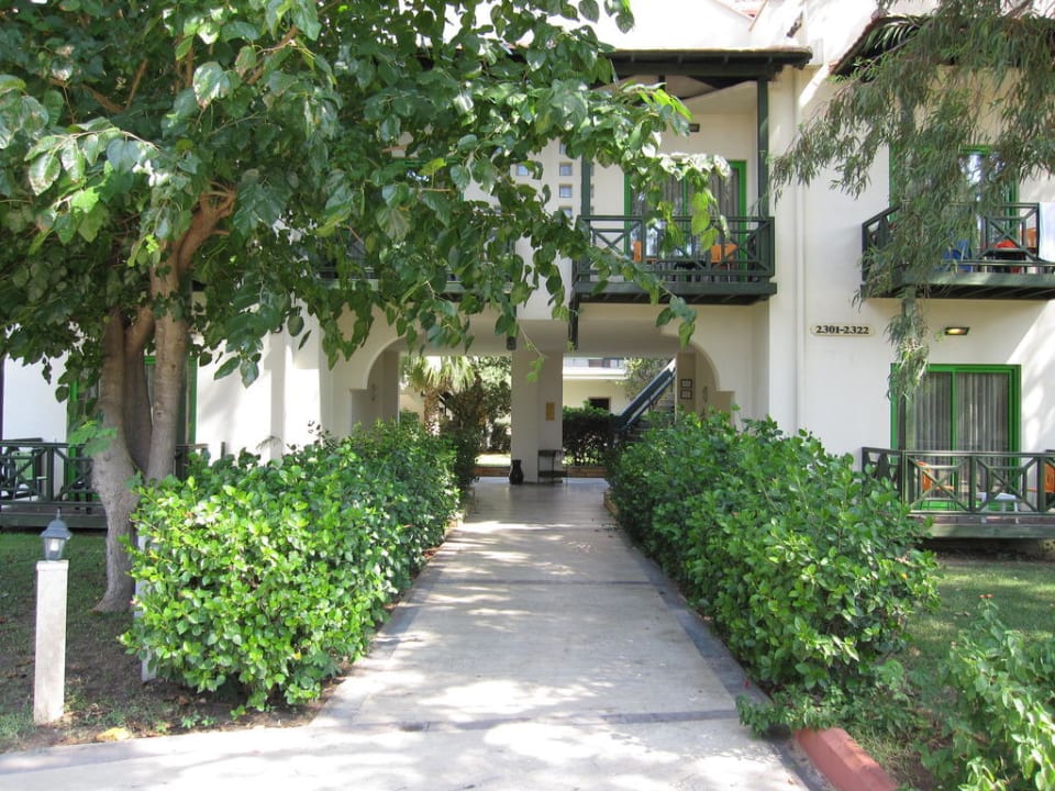 Bungalow Green Max Hotel