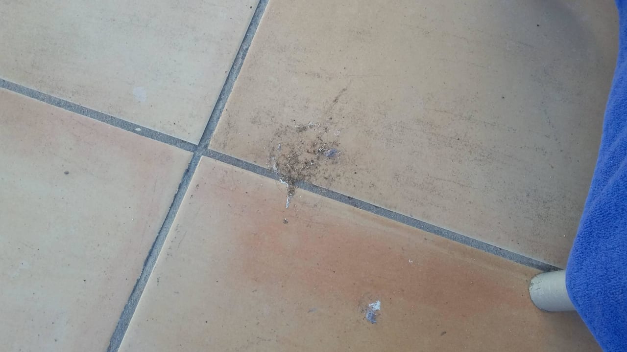 Vogelkot auf Terrasse nie gereinigt Barceló Fuerteventura Castillo