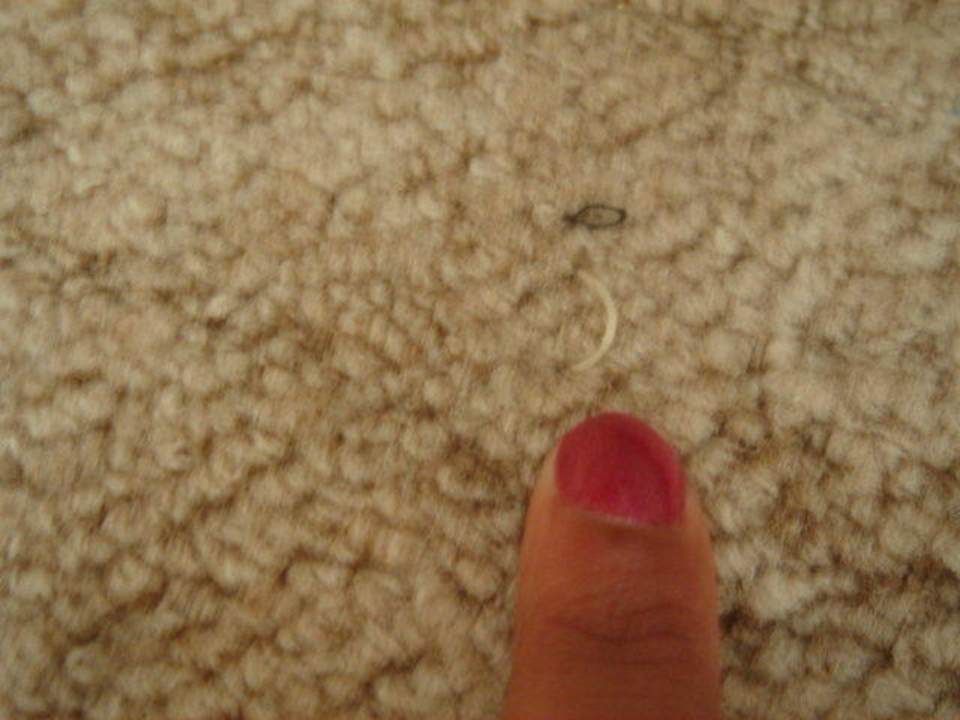 Zehenagel Hotel Mena Palace