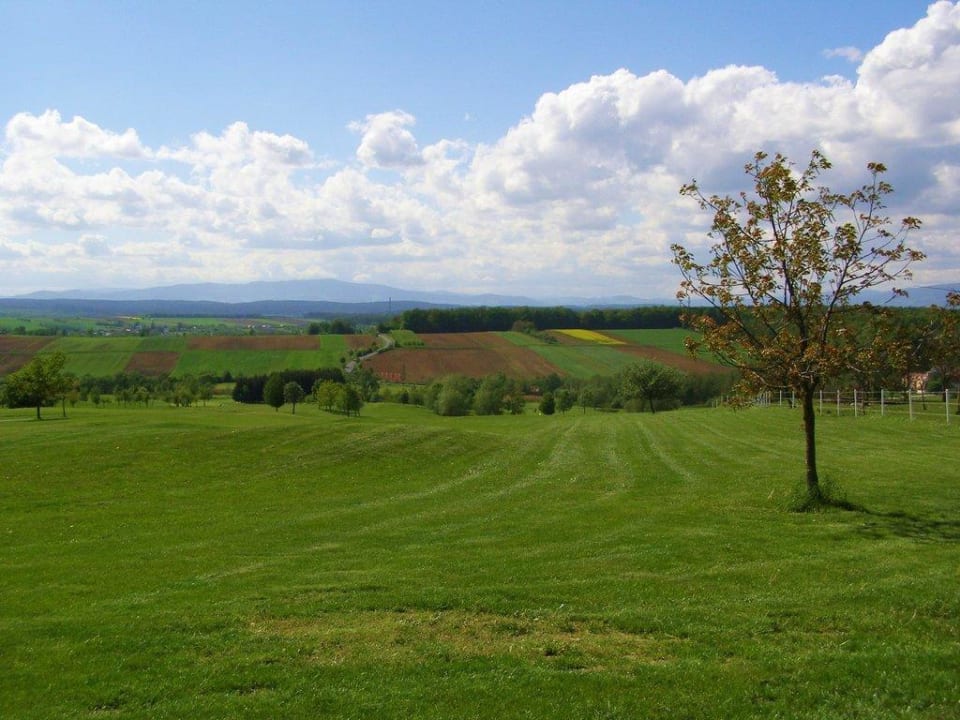 Ausblick Hotel Reiters Supreme