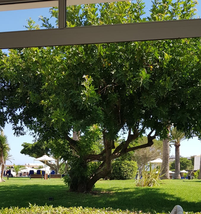 Gartenanlage Anissa Beach & Village