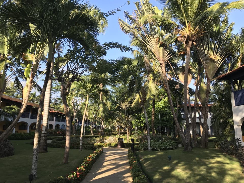 Garten Catalonia Royal La Romana - Adults only