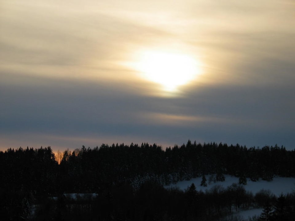 Ausblick vom Hotel Sonnenwald Hotel