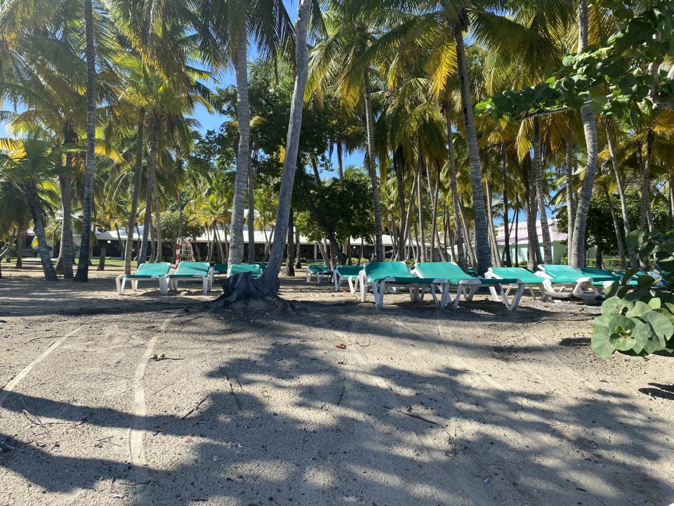 Strand Playabachata Hotel